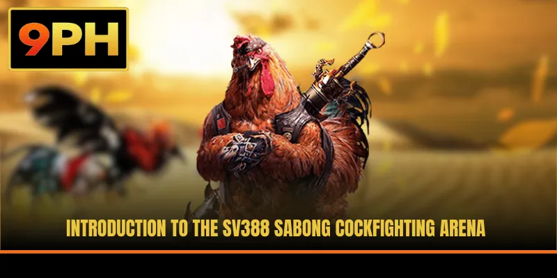 Introduction to the SV388 Sabong cockfighting arena