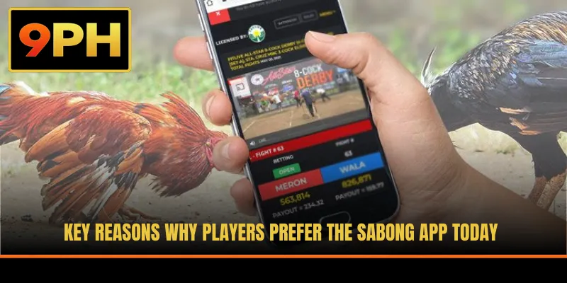 Key reasons why players prefer the Sabong app today