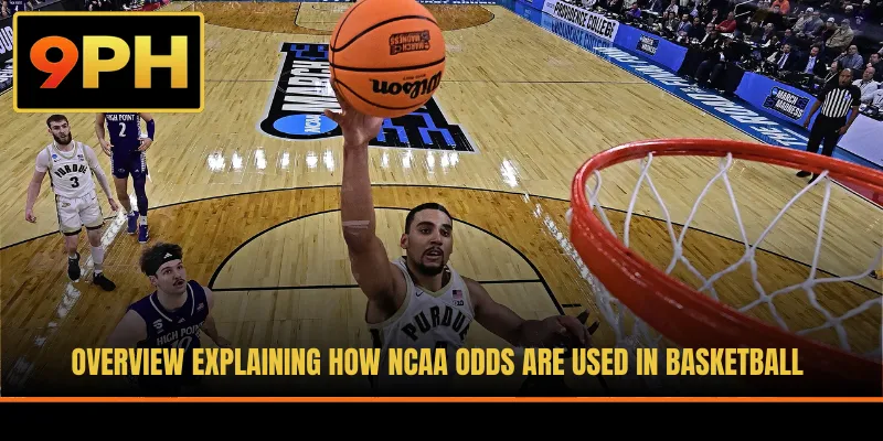 Overview explaining how NCAA odds are used in basketball