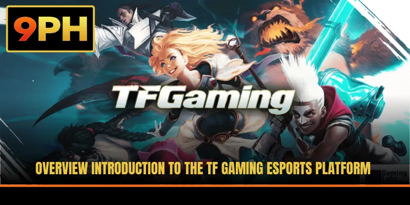 Overview introduction to the TF Gaming esports platform