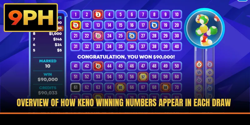 Overview of how Keno winning numbers appear in each draw