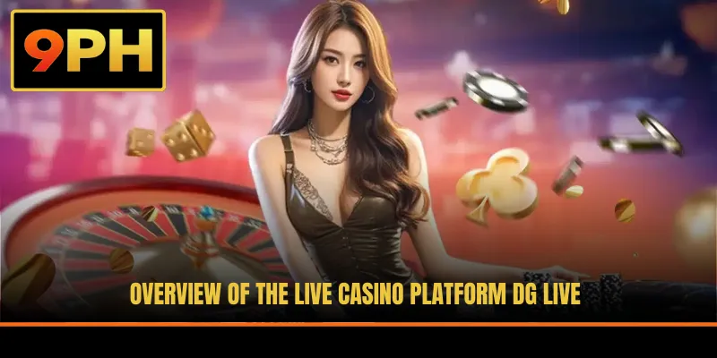 Overview of the live casino platform DG Live