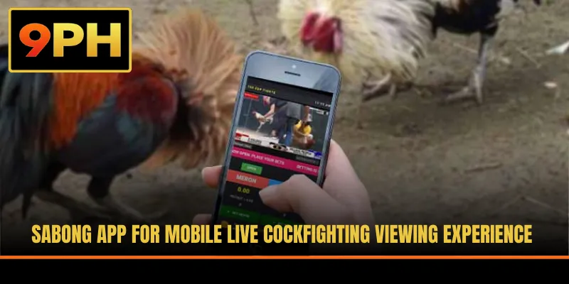 Sabong App For Mobile Live Cockfighting Viewing Experience