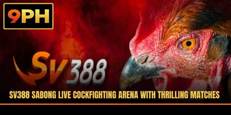 SV388 Sabong Live Cockfighting Arena With Thrilling Matches